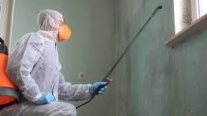 Best Mold Damage Restoration  in Mcdade, TX