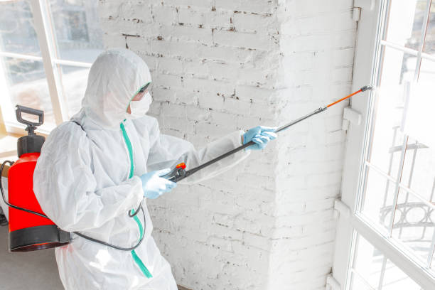 Best Asbestos and Lead Testing During Mold Inspection  in Mcdade, TX