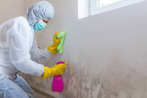 Mold Removal for HVAC Installations in Mcdade, TX