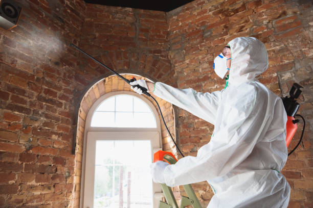 Best Comprehensive Air Testing for Mold Contaminants  in Mcdade, TX